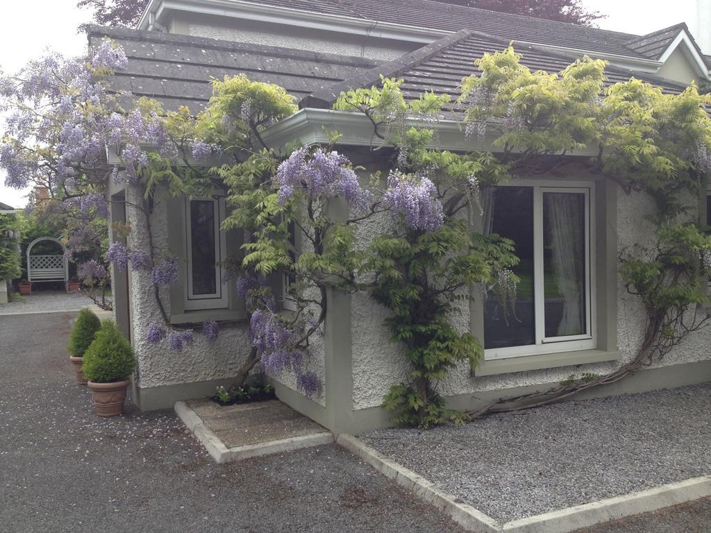 Sea Dew B&B Tullamore Eksteriør bilde